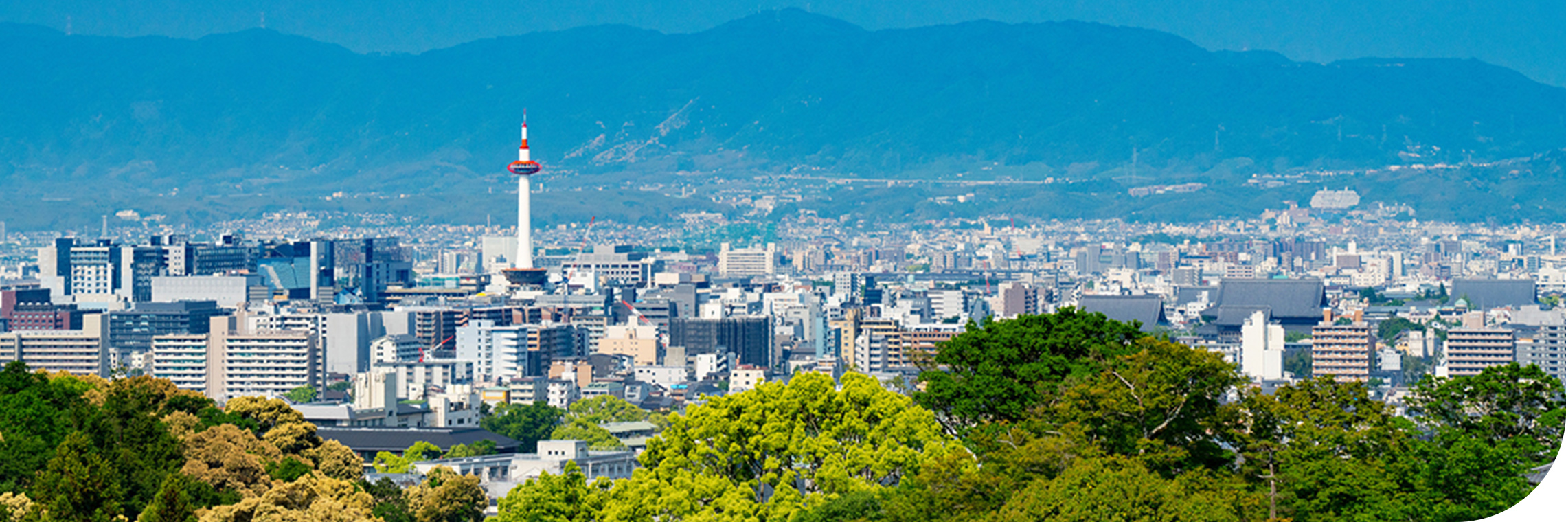 会社の財産は「社員」です。